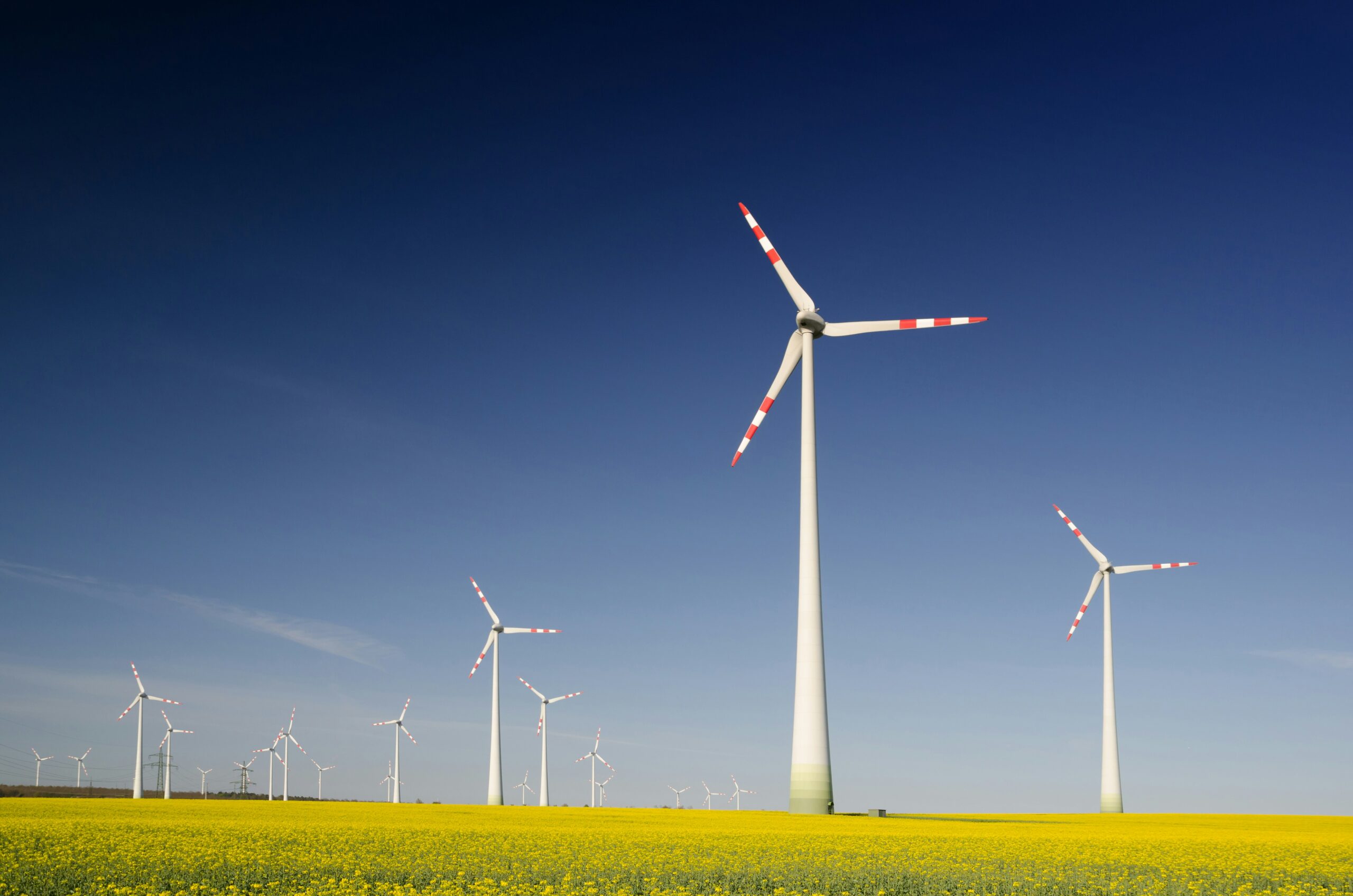 windmills-on-grass-field-at-daytime-scaled-1 هل الإيثريوم صديق للبيئة؟ تأثير البلوكتشين على الاستدامة